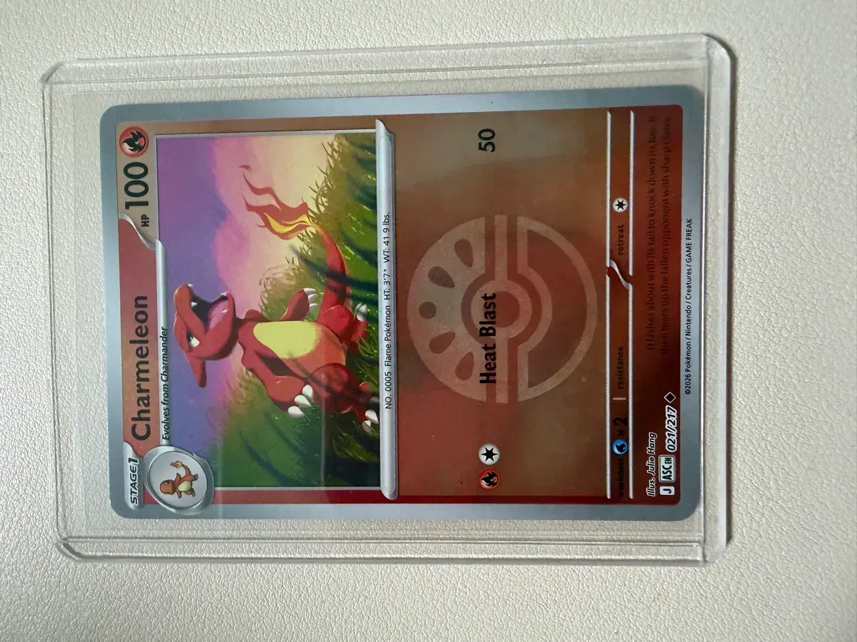 thumbnail-8